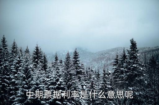 發(fā)行中期票據(jù)，發(fā)行中期票據(jù)是利好嗎