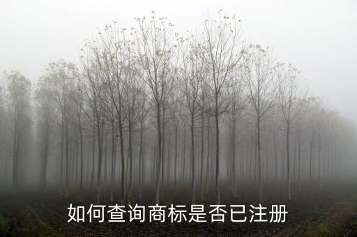 商標(biāo)注冊(cè)查詢，商標(biāo)注冊(cè)查詢?cè)鯓硬?/></a></span><span id=