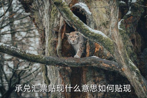 承兌貼現(xiàn)，承兌匯票貼現(xiàn)什么意思如何貼現(xiàn)