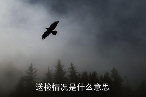 送檢，送檢情況是什么意思