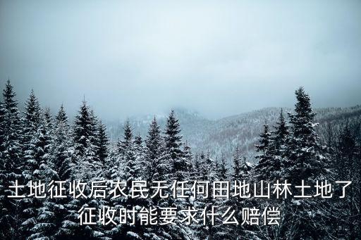 土地征收后農(nóng)民無(wú)任何田地山林土地了征收時(shí)能要求什么賠償