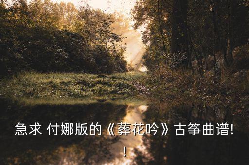 付娜