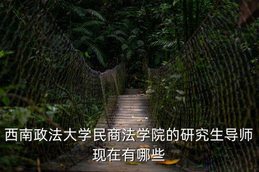 西南政法大學(xué)民商法學(xué)院的研究生導(dǎo)師現(xiàn)在有哪些