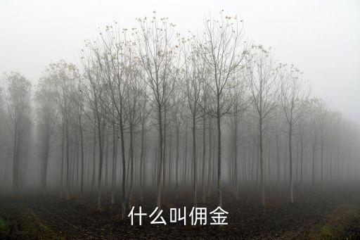 傭金，什么叫傭金