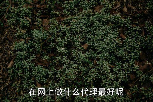 網(wǎng)賺代理，網(wǎng)賺代理是什么意思