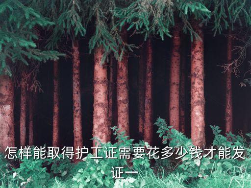 怎樣能取得護工證需要花多少錢才能發(fā)證一