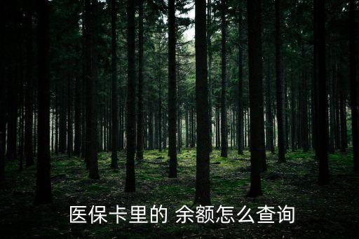 醫(yī)?？ㄔ趺床橛囝~,支付寶里電子醫(yī)?？ㄔ趺床橛囝~