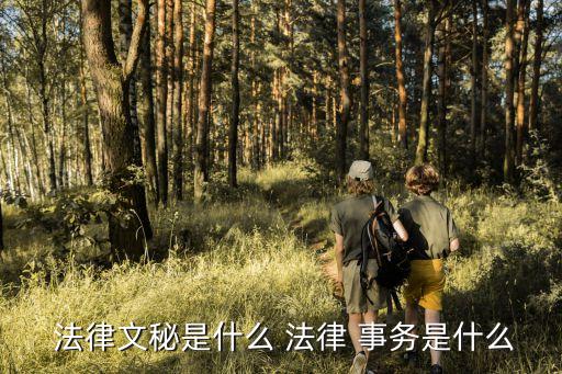  法律文秘是什么 法律 事務(wù)是什么