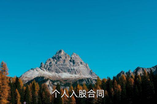 投資個人協(xié)議書怎么寫,個人投資協(xié)議有法律作用嗎