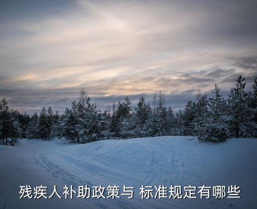  殘疾人補助政策與 標準規(guī)定有哪些