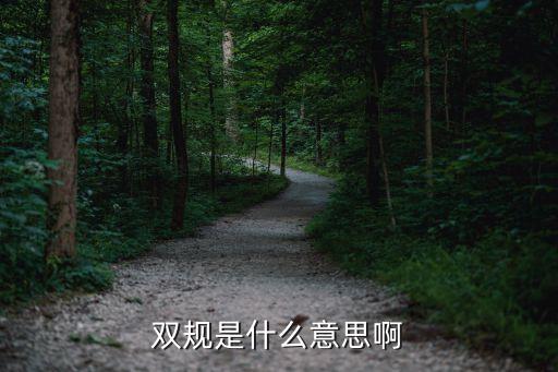 什么是雙規(guī)，雙規(guī)制是什么意思
