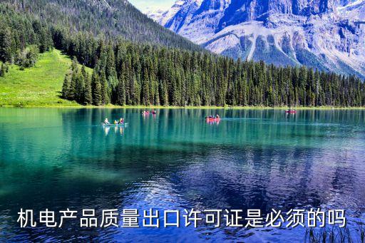 機電產(chǎn)品質(zhì)量出口許可證是必須的嗎