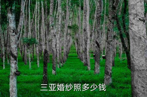 拍結(jié)婚照多少錢,500到1000元的婚紗照