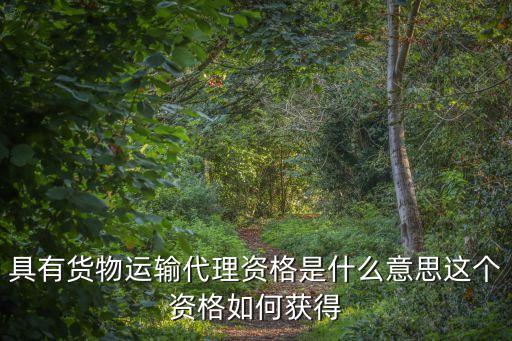 貨物運(yùn)輸代理，貨運(yùn)代理主要是干嗎的