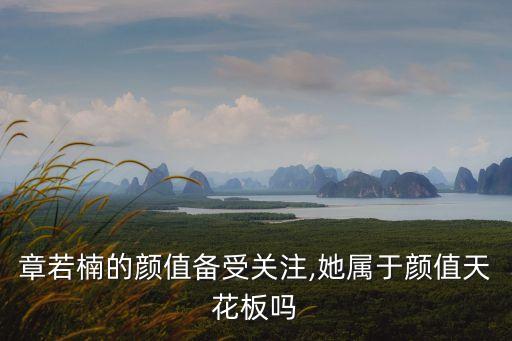張若楠