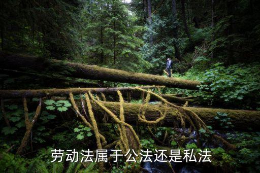 勞動(dòng)合同法屬于哪個(gè)法律的
