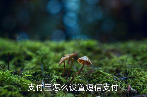 支付寶怎么設(shè)置短信支付