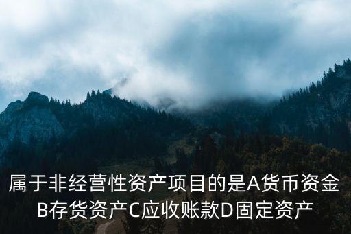 非經(jīng)營性資產(chǎn)，屬于非經(jīng)營性資產(chǎn)項(xiàng)目的是A貨幣資金B(yǎng)存貨資產(chǎn)C應(yīng)收賬款D固定資產(chǎn)