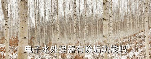 電子水處理器有除垢功能嗎