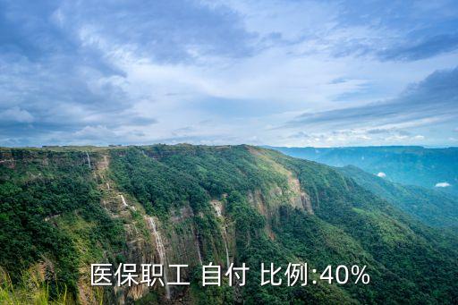 自付比例
