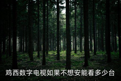 雞西電視臺，雞西電視臺能直接和阿光談話嗎