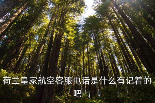 荷蘭航空電話，荷蘭皇家航空退票電話是多少