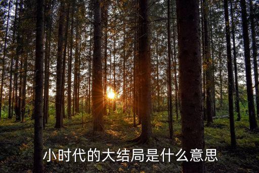  小時(shí)代的大結(jié)局是什么意思