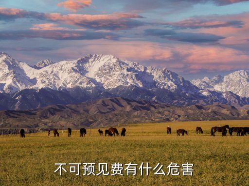 不可預(yù)見費(fèi)，建筑工程不可預(yù)見費(fèi)