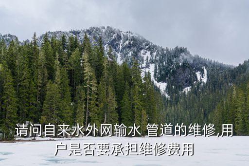 管道維修工,天然氣管道維修工