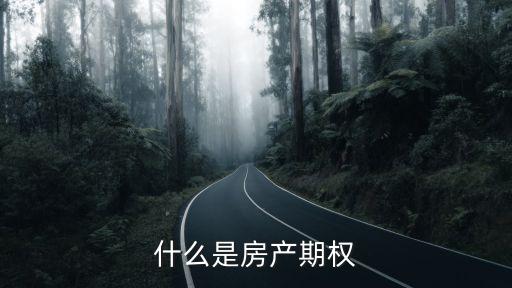 什么是房產(chǎn)期權(quán)