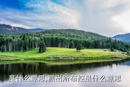 布控是什么意思,派出所布控是什么意思