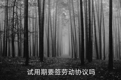  試用期要簽勞動(dòng)協(xié)議嗎
