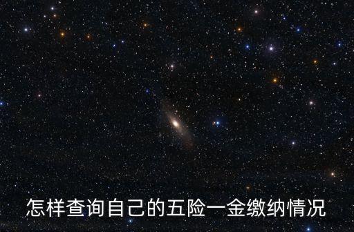 怎樣查詢自己的五險(xiǎn)一金繳納情況