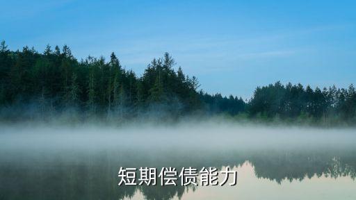 短期償債能力，短期償債能力