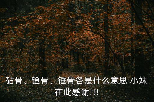 小妹人體