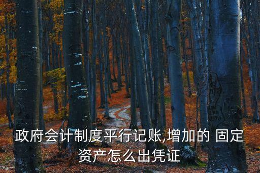 新增固定資產(chǎn)