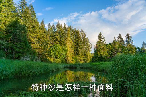 特種紗是怎樣一種面料