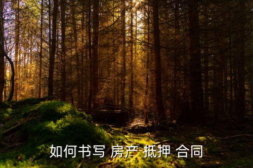 如何書寫 房產(chǎn) 抵押 合同