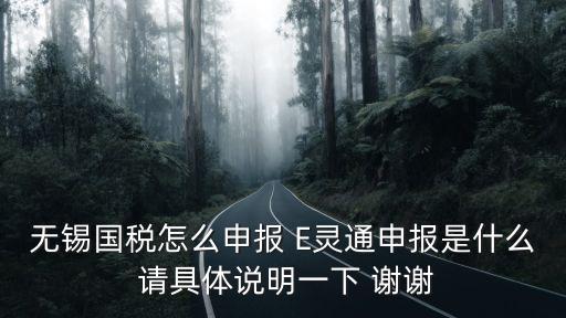 無錫國稅怎么申報 E靈通申報是什么 請具體說明一下 謝謝