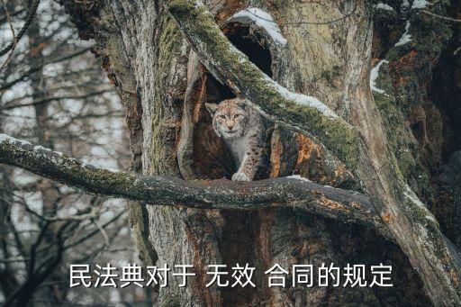 民法典對于 無效 合同的規(guī)定