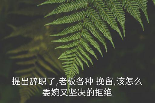 挽留感情公司,怎樣挽留一段感情的幾句話