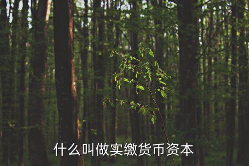 實(shí)繳，什么叫做實(shí)繳貨幣資本