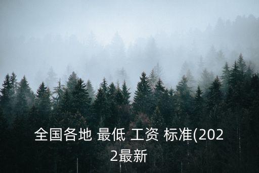 全國各地 最低 工資 標(biāo)準(2022最新