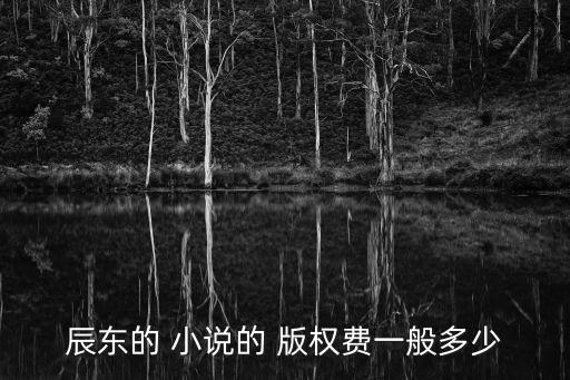 辰東的 小說的 版權費一般多少