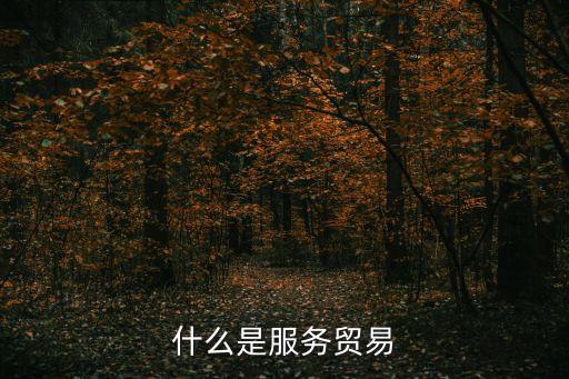 什么是服務(wù)貿(mào)易