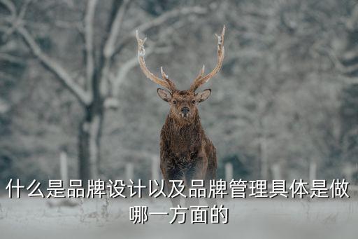 品牌管理，品牌管理的重點要素是哪些