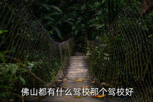 佛山都有什么駕校那個(gè)駕校好