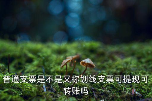 普通支票是不是又稱劃線支票可提現(xiàn)可轉(zhuǎn)賬嗎