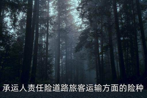 承運人責(zé)任險，承運人責(zé)任險道路旅客運輸方面的險種