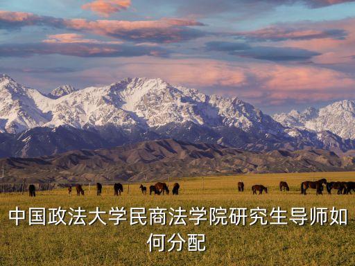 中國(guó)政法大學(xué)民商法學(xué)院研究生導(dǎo)師如何分配